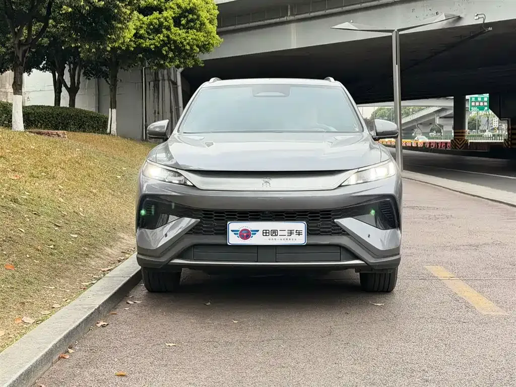 BYD Pro New Energy 2025 из CN, фото 5