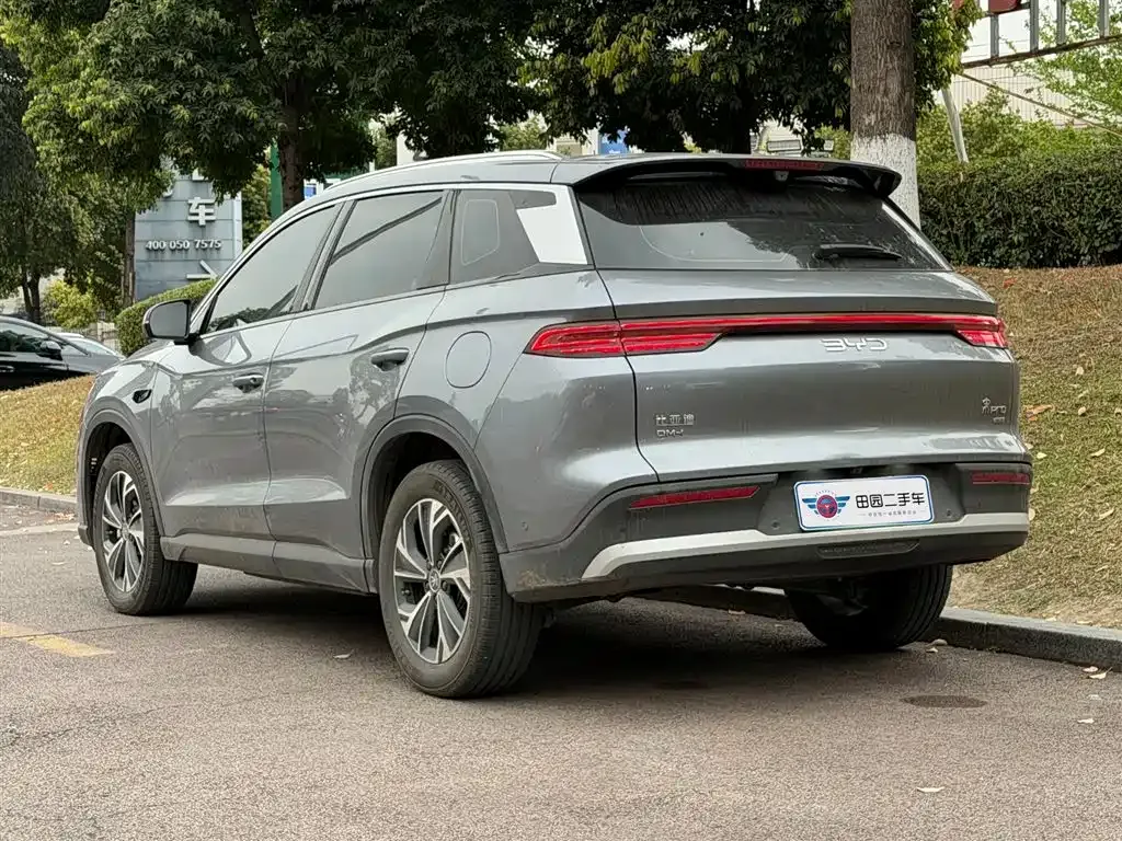 BYD Pro New Energy 2025 из CN, фото 10