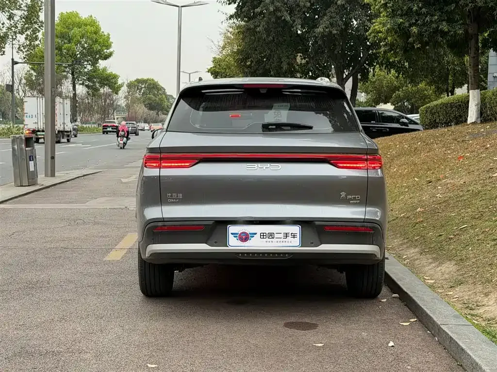 BYD Pro New Energy 2025 из CN, фото 7