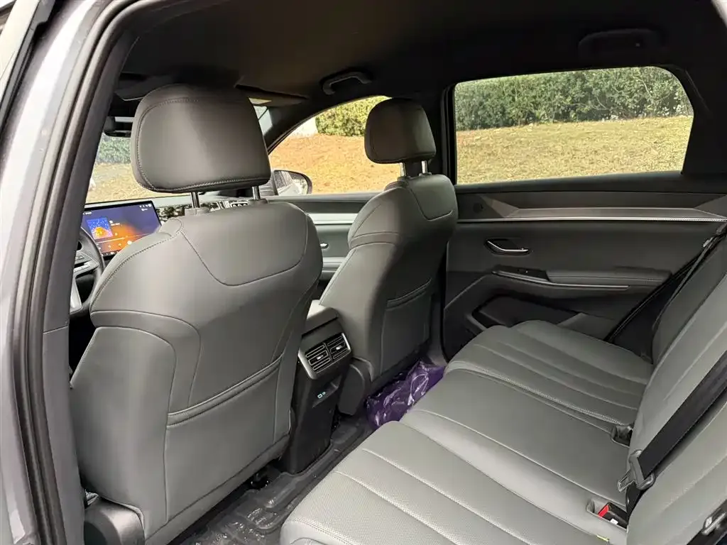 BYD Pro New Energy 2025 из CN, фото 3