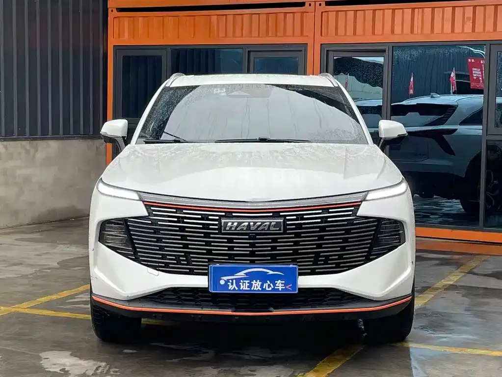 Haval Shenshou 2022 из CN, фото 5