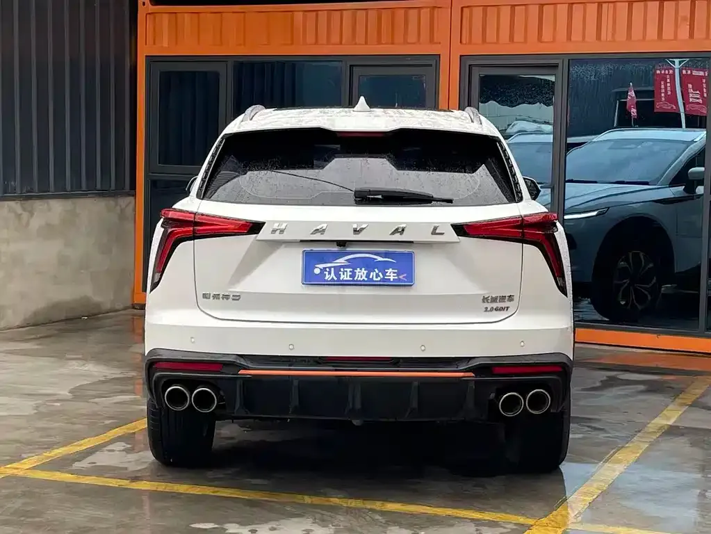Haval Shenshou 2022 из CN, фото 3