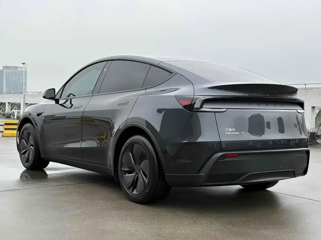 Tesla Model Y 2025 из CN, фото 9