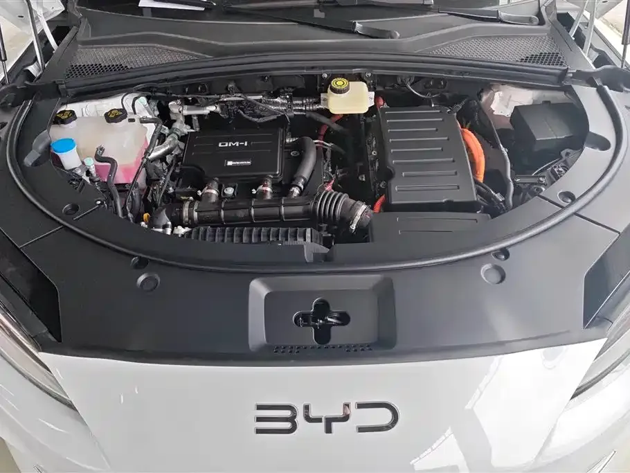 BYD PLUS New Energy — фото 10