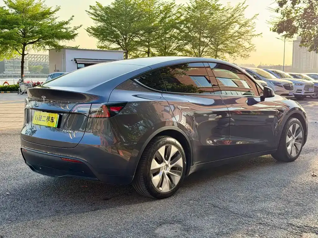 Tesla Model Y — фото 5