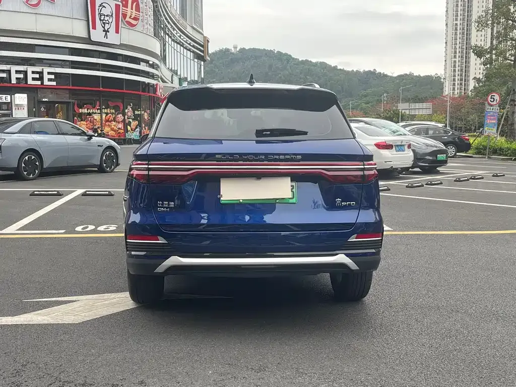 BYD Pro New Energy — фото 9