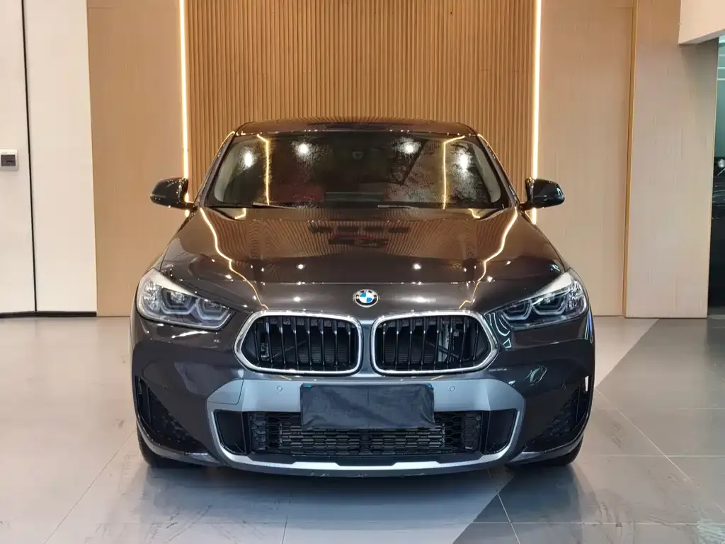 BMW X2 — фото 2