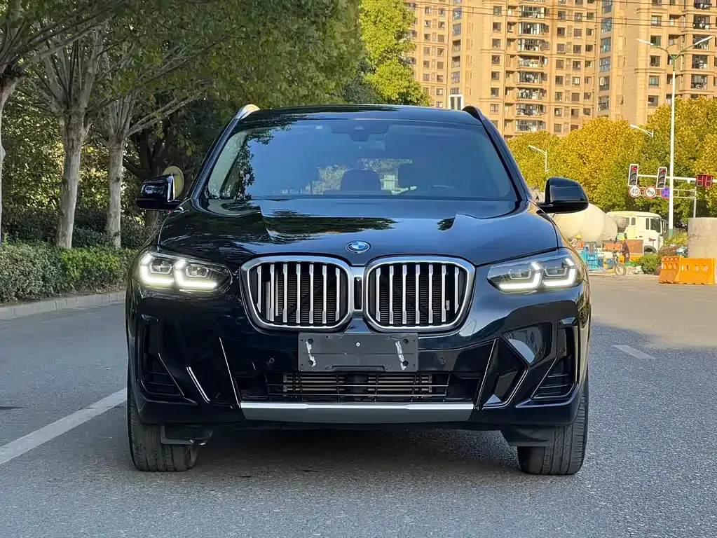 BMW X3 — фото 1