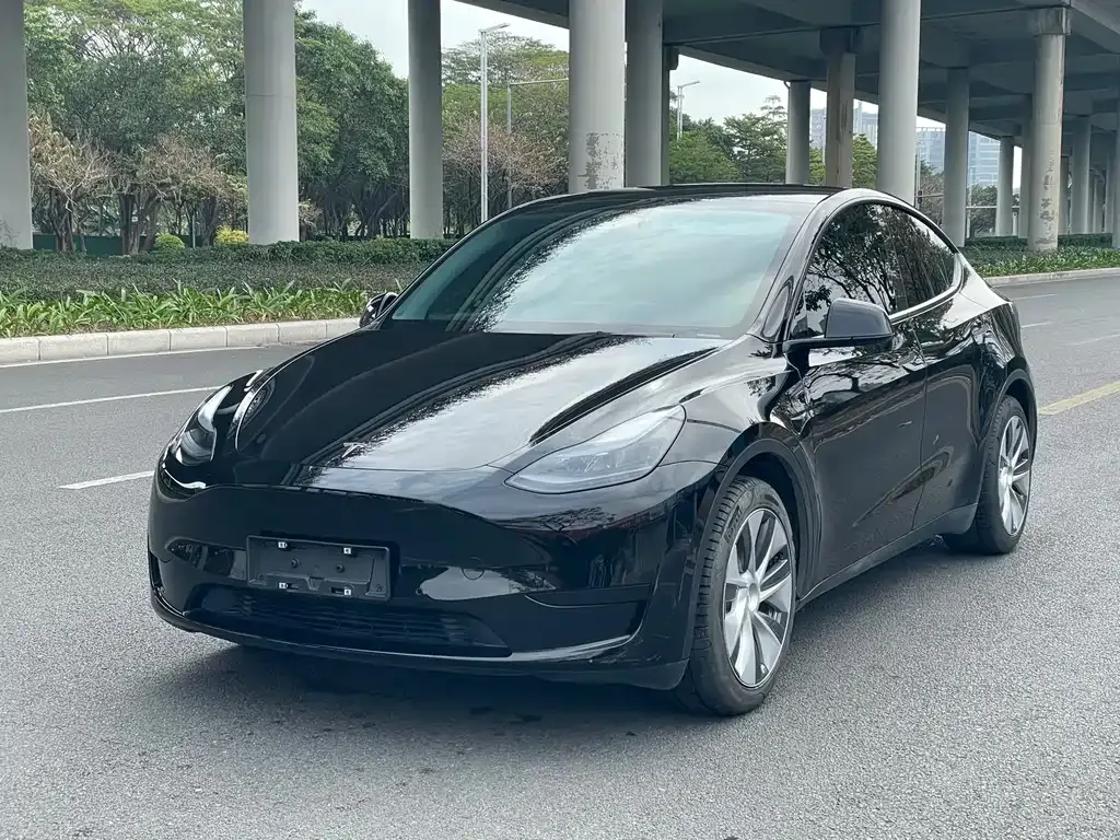 Tesla Model Y 2022 из CN, фото 1