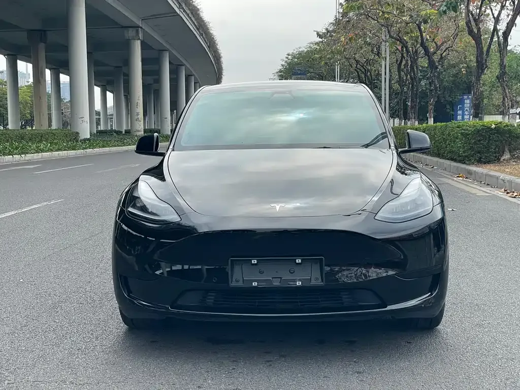 Tesla Model Y 2022 из CN, фото 5