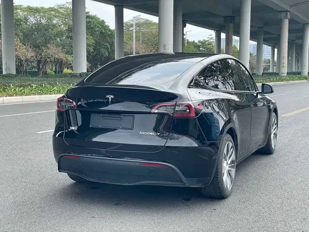 Tesla Model Y 2022 из CN, фото 6