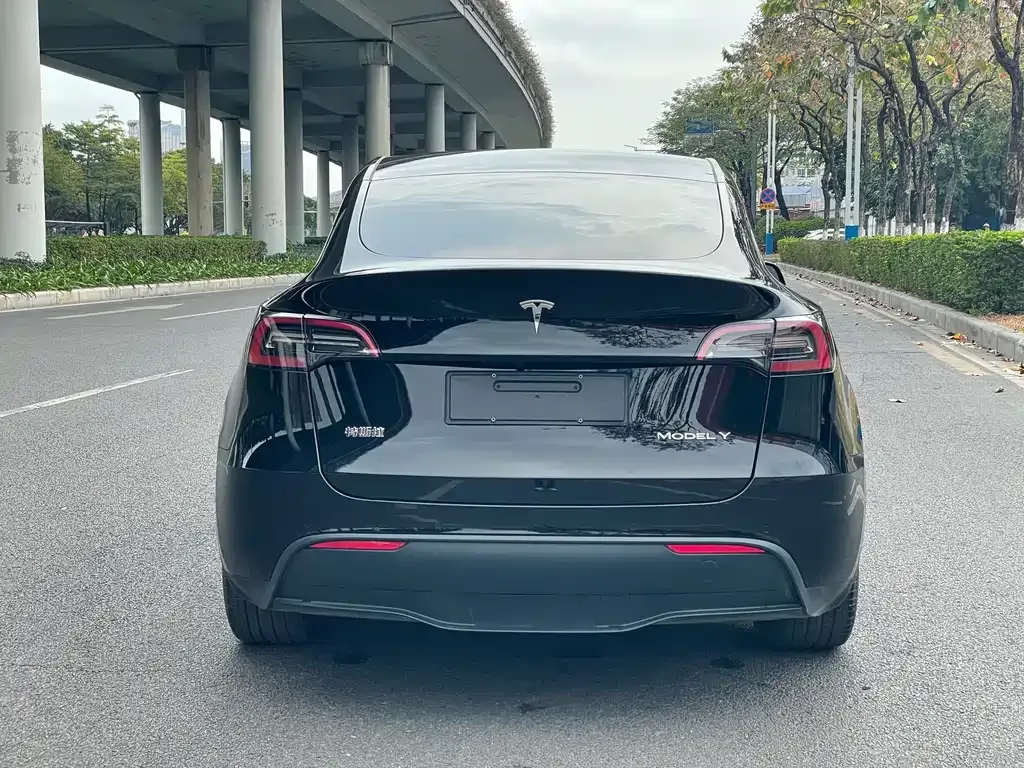 Tesla Model Y 2022 из CN, фото 9