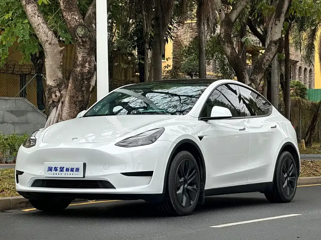 Tesla Model Y 2023 из CN, фото 1