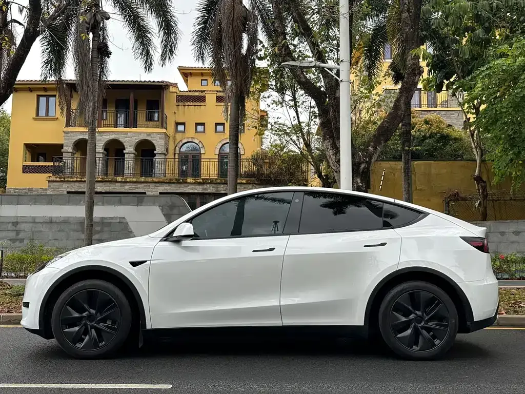 Tesla Model Y 2023 из CN, фото 3
