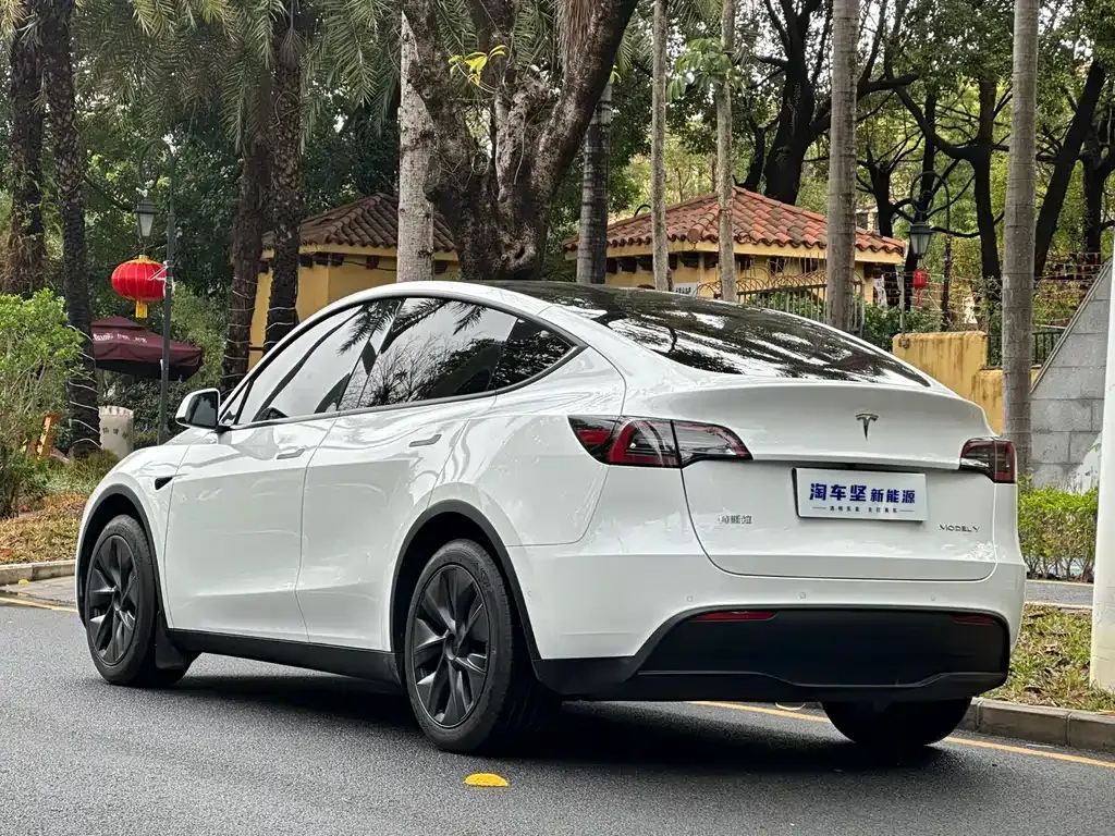 Tesla Model Y 2023 из CN, фото 6