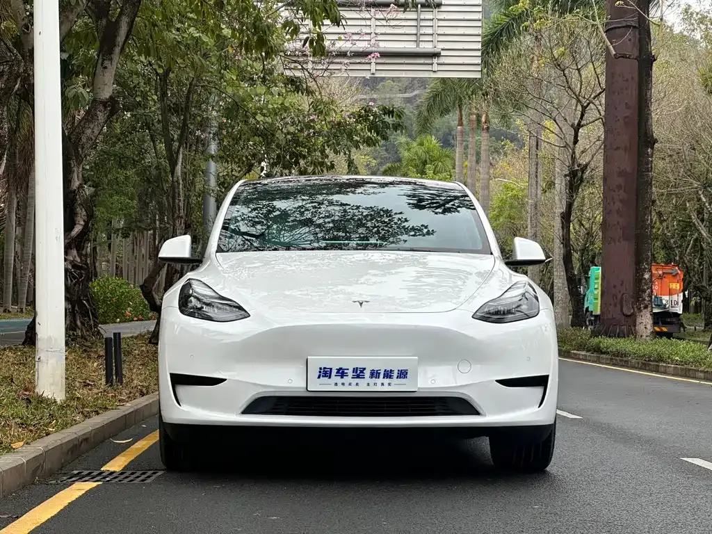 Tesla Model Y 2023 из CN, фото 8