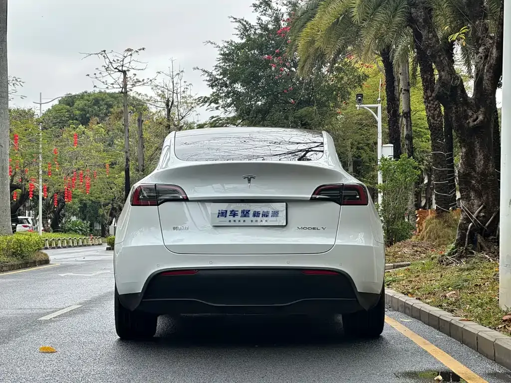Tesla Model Y 2023 из CN, фото 7