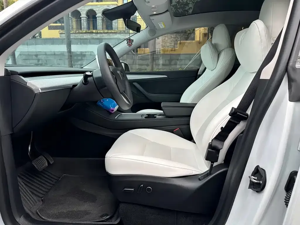 Tesla Model Y 2023 из CN, фото 4