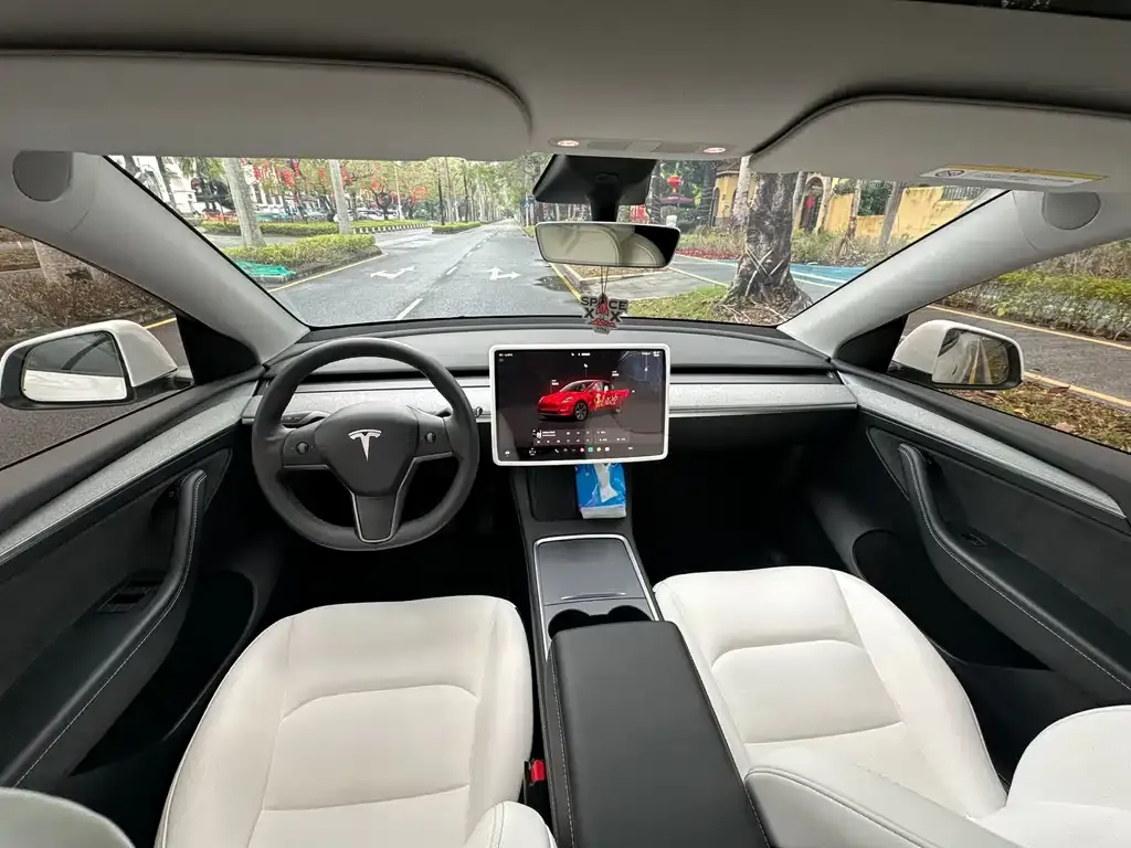 Tesla Model Y 2023 из CN, фото 5