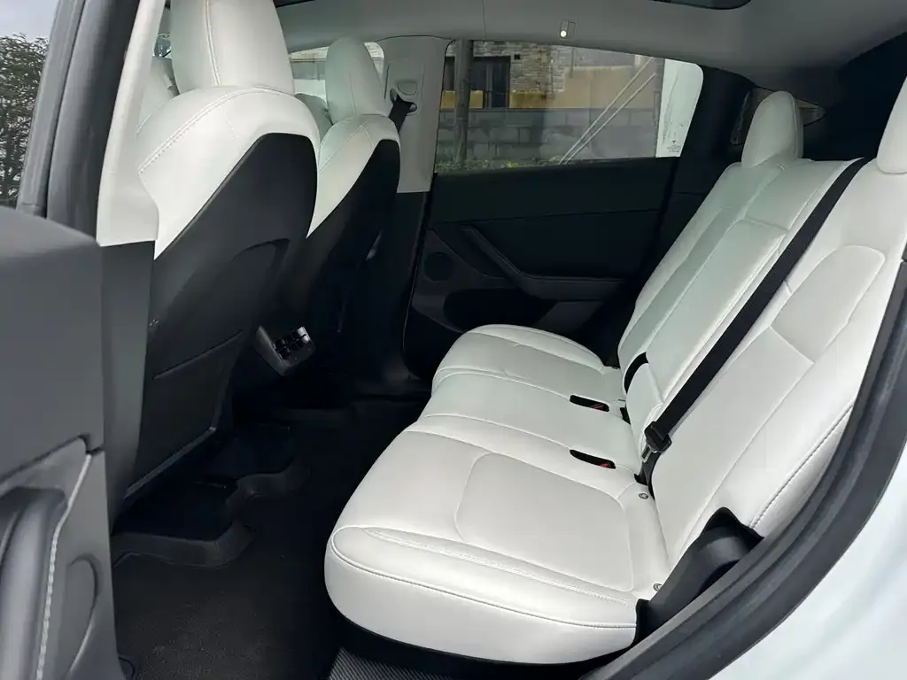 Tesla Model Y 2023 из CN, фото 2