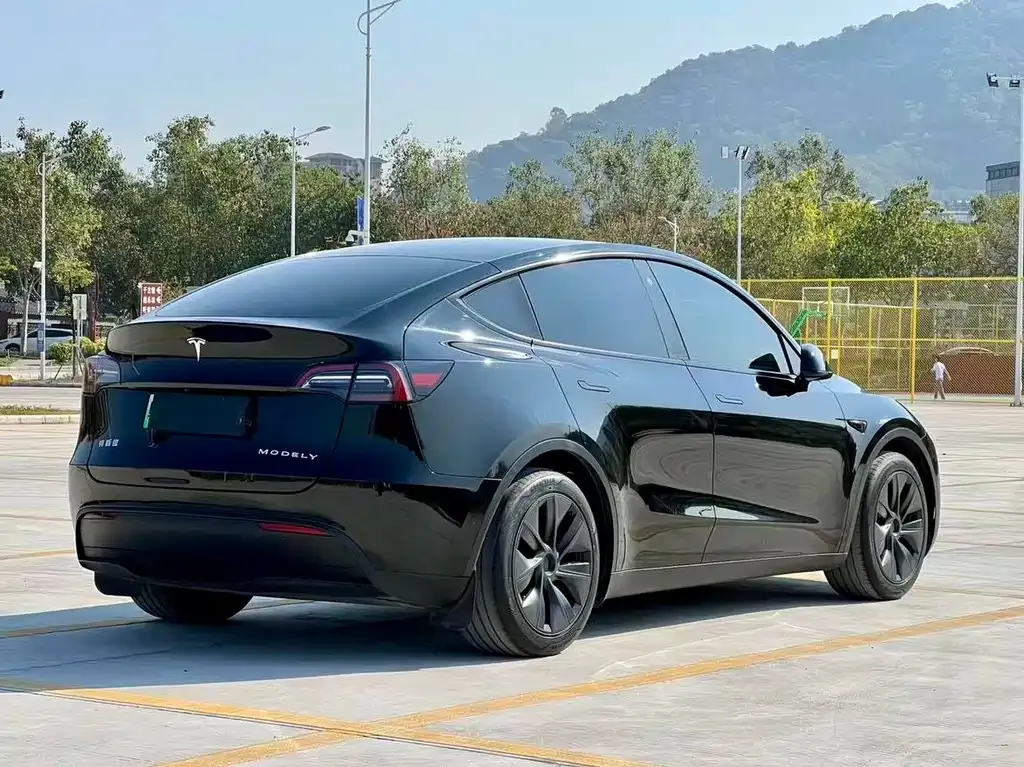Tesla Model Y — фото 5