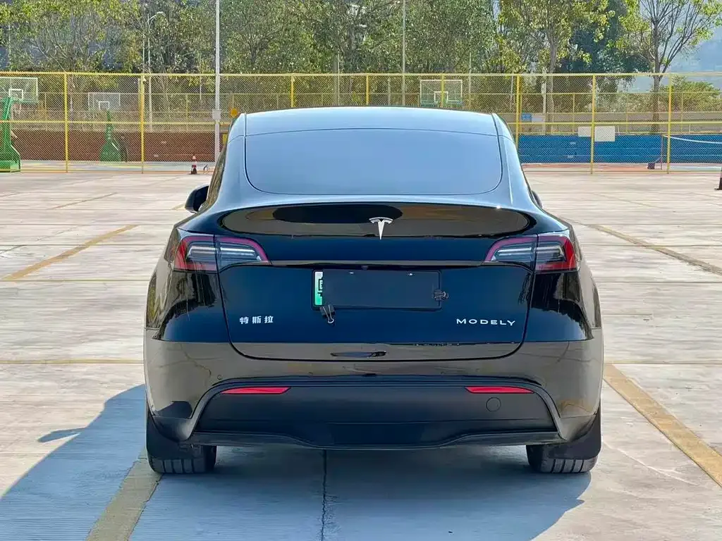 Tesla Model Y — фото 10