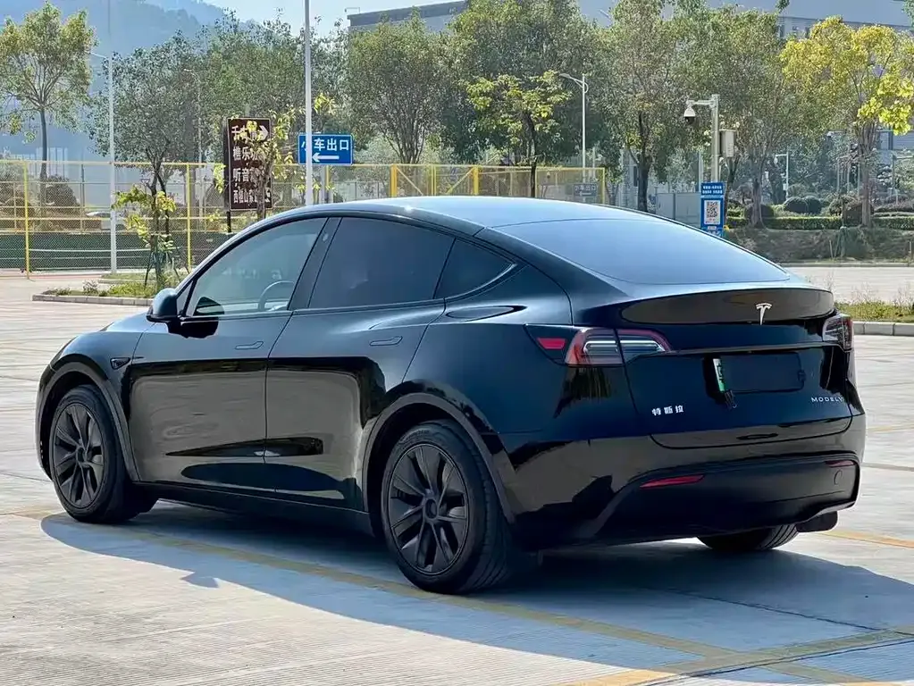 Tesla Model Y — фото 8