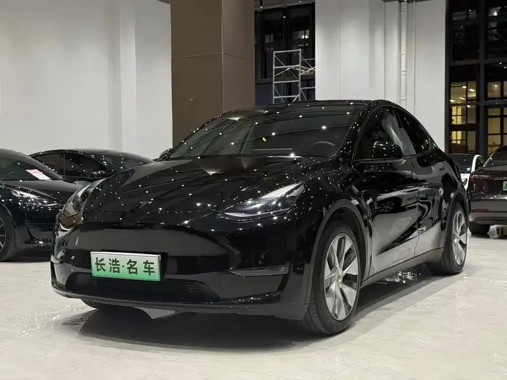 Tesla Model Y 2021 из CN, фото 1