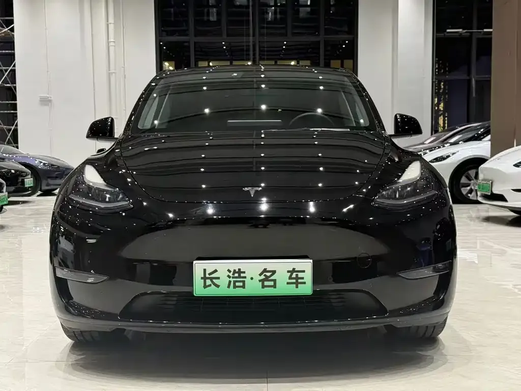 Tesla Model Y 2021 из CN, фото 9