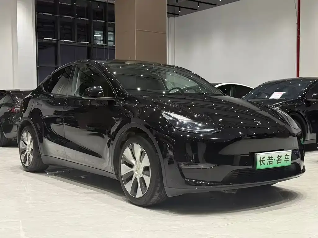 Tesla Model Y 2021 из CN, фото 3