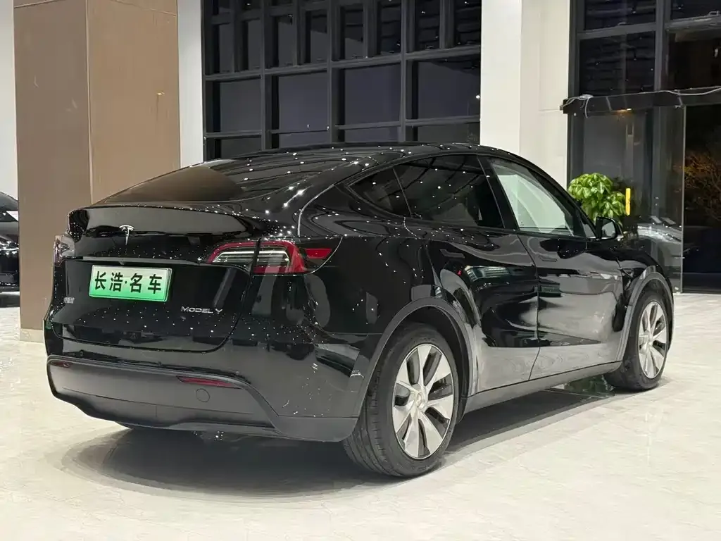 Tesla Model Y 2021 из CN, фото 6