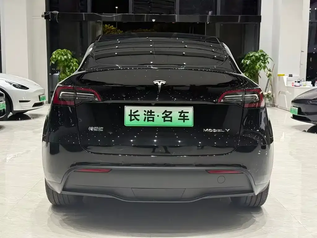 Tesla Model Y 2021 из CN, фото 5