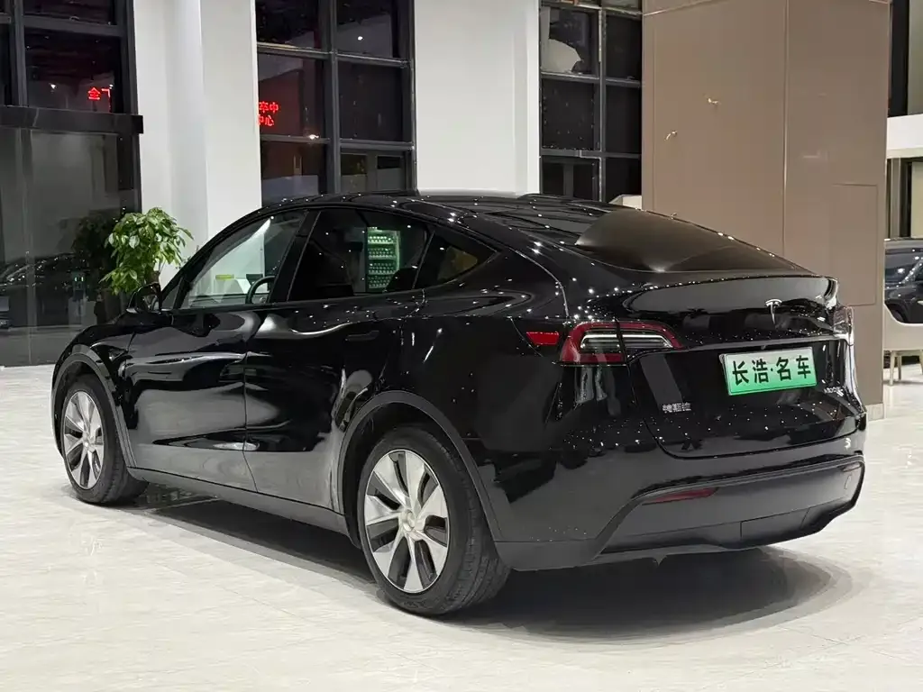 Tesla Model Y 2021 из CN, фото 2