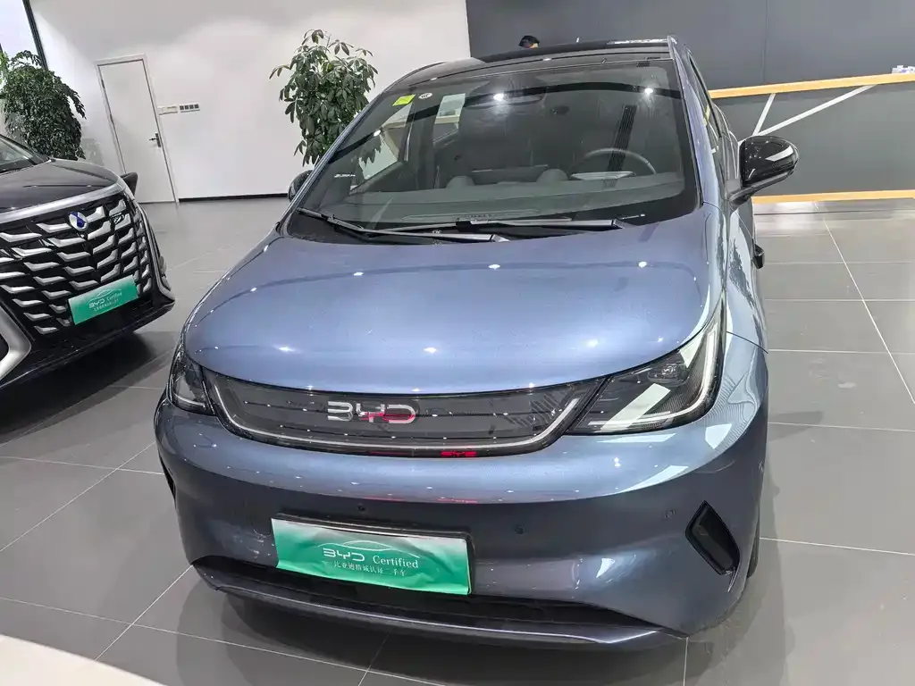 BYD Dolphin 2025 из CN, фото 4