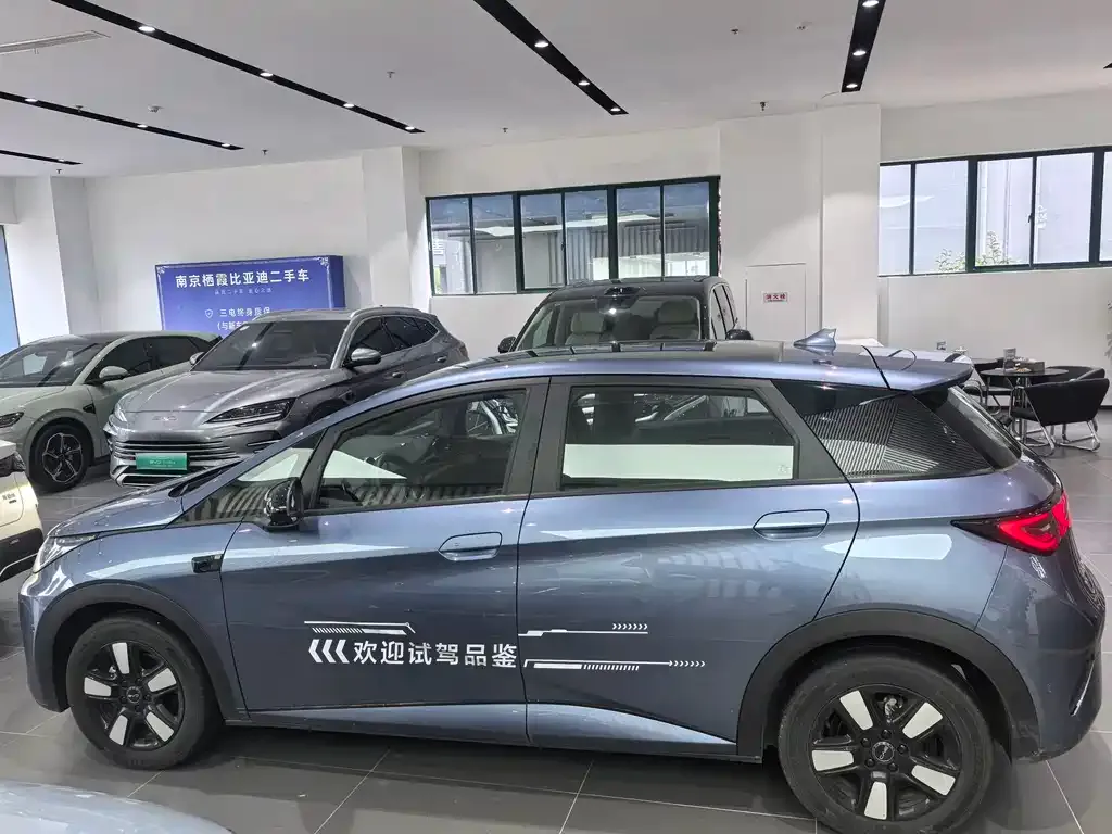 BYD Dolphin 2025 из CN, фото 8