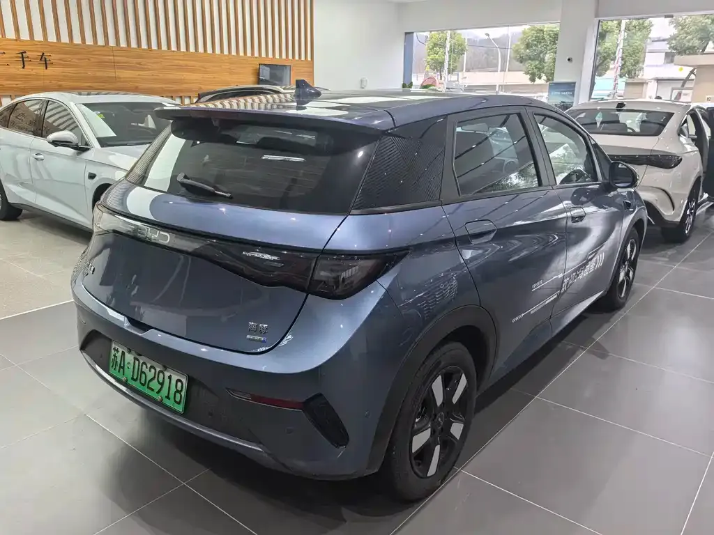 BYD Dolphin 2025 из CN, фото 3