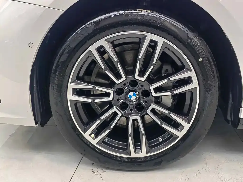 BMW 5 Series 2025 из CN, фото 8