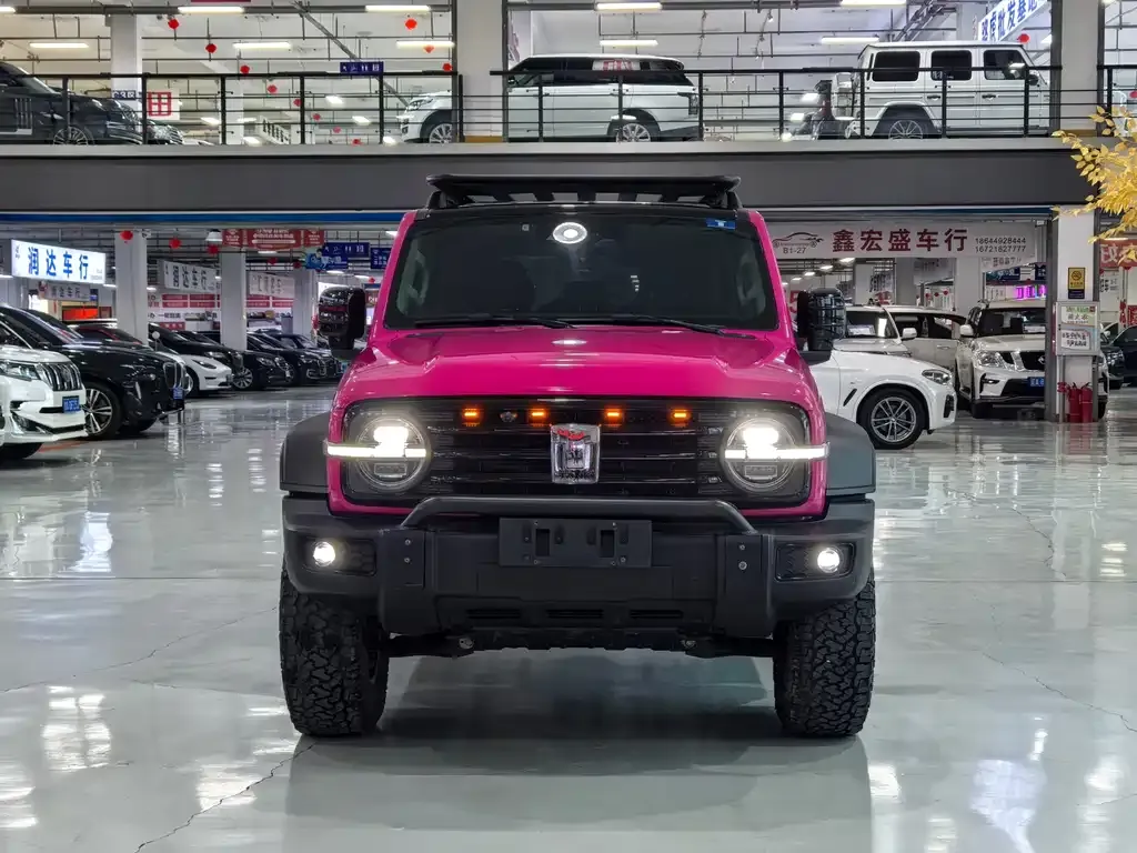 Tank 300 2021 из CN, фото 9