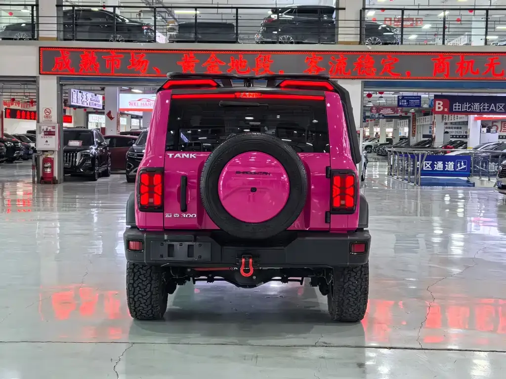 Tank 300 2021 из CN, фото 5