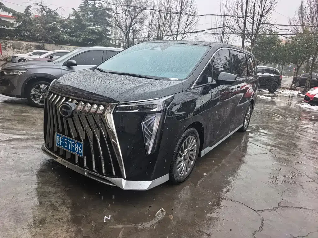 GAC Motor Trumpchi M8 2025 из CN, фото 6