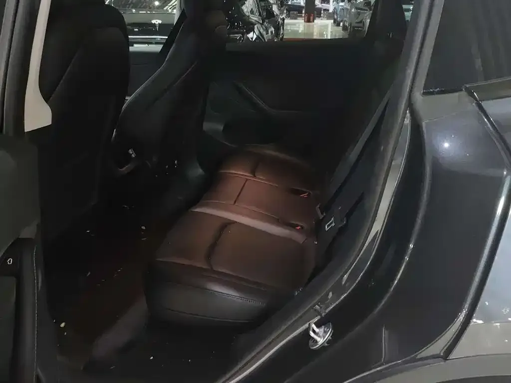 Tesla Model Y 2024 из CN, фото 2
