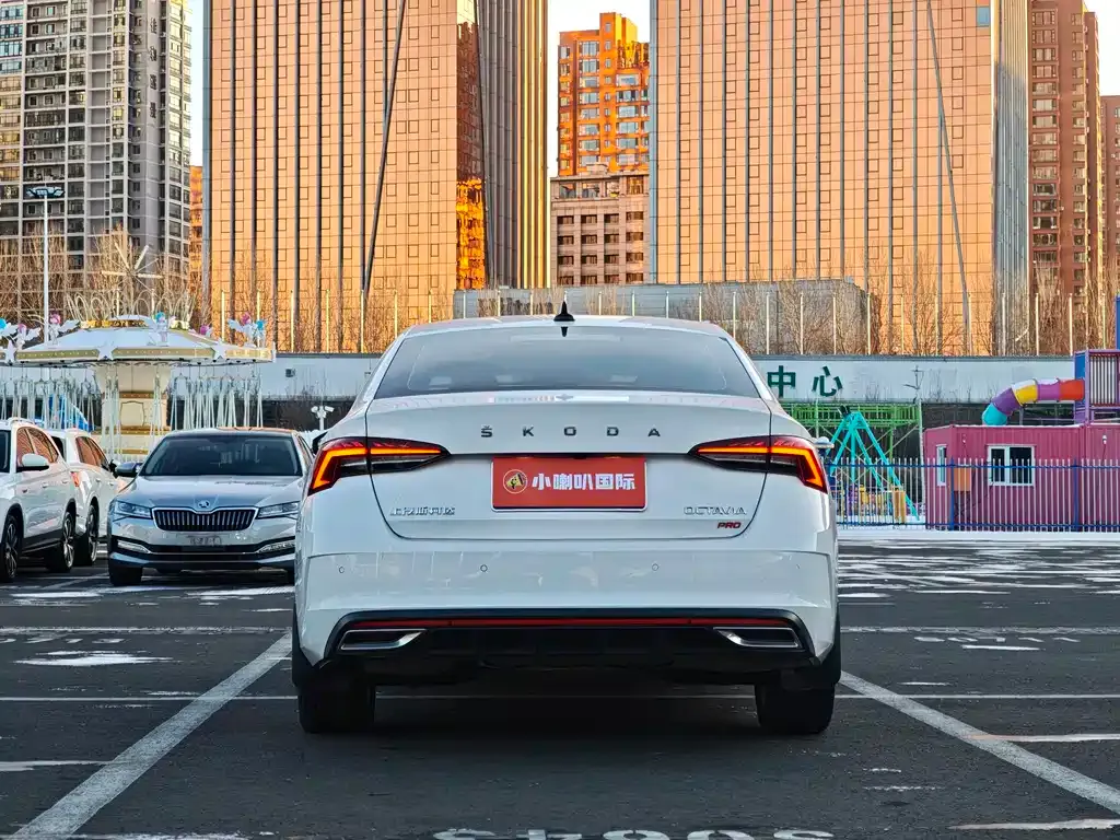 Skoda Octavia 2021 из CN, фото 9