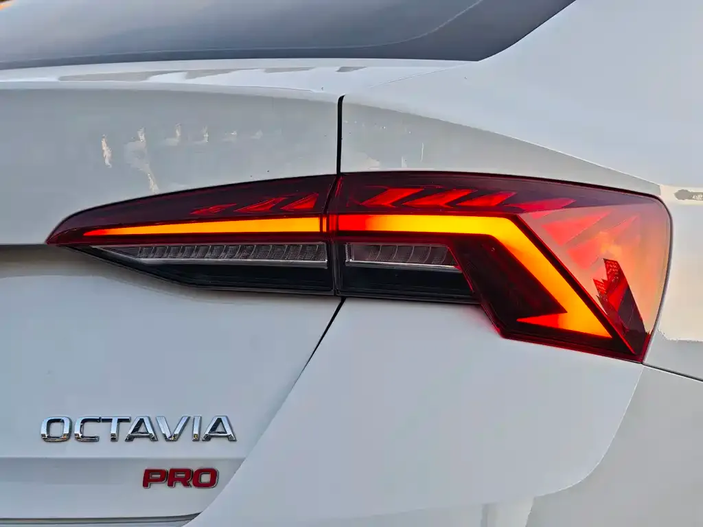 Skoda Octavia 2021 из CN, фото 2