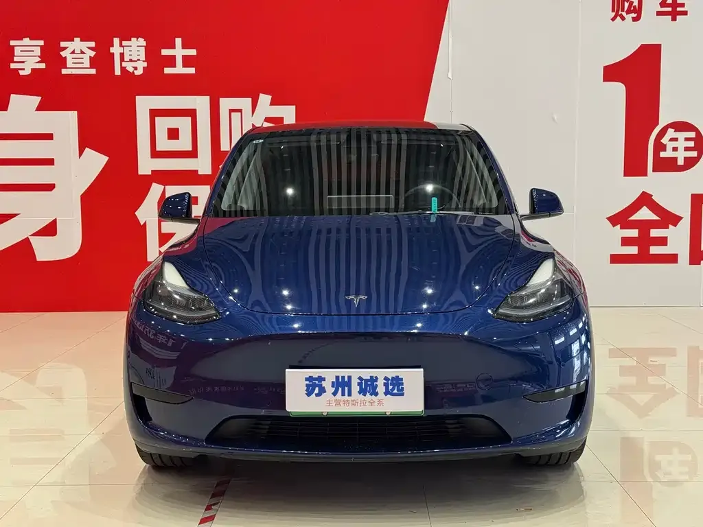 Tesla Model Y — фото 1