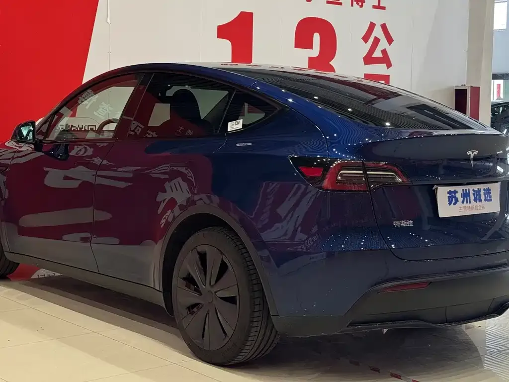 Tesla Model Y — фото 8