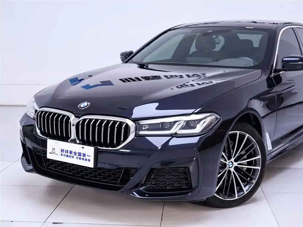 BMW 5 Series 2022 из CN, фото 8