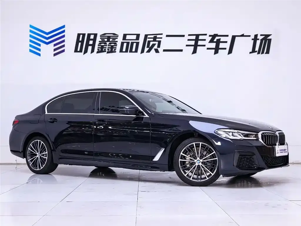 BMW 5 Series 2022 из CN, фото 10