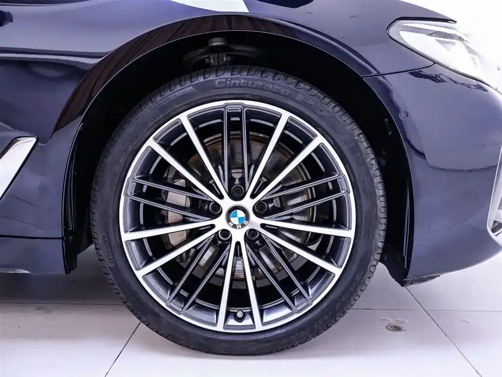 BMW 5 Series 2022 из CN, фото 9