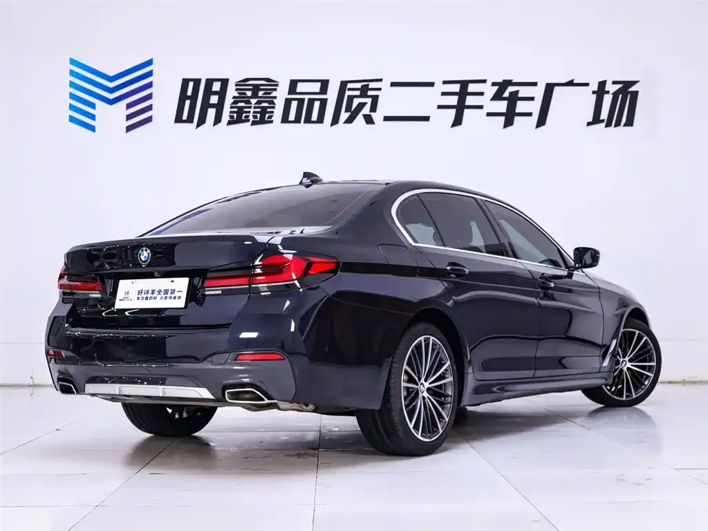BMW 5 Series 2022 из CN, фото 4