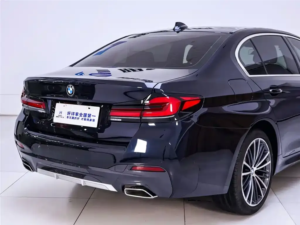 BMW 5 Series 2022 из CN, фото 6